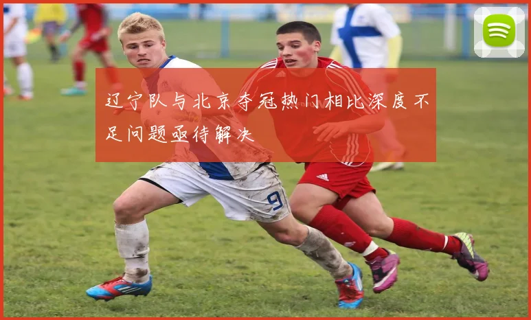 辽宁队与北京夺冠热门相比深度不足问题亟待解决